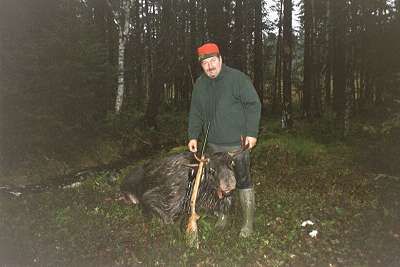 Min første elg skudt 12.10.2000 på Bässeberget i Värmland Troels J. Ankerstjerne 